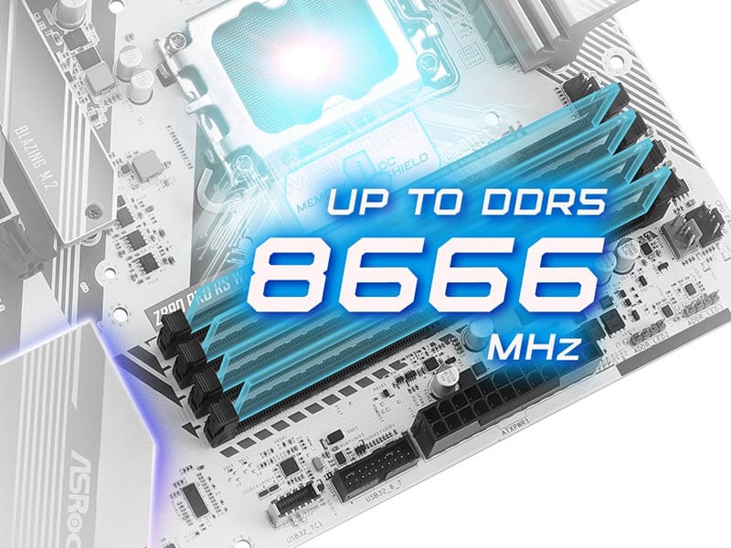 DDR5 XMP & EXPO Support